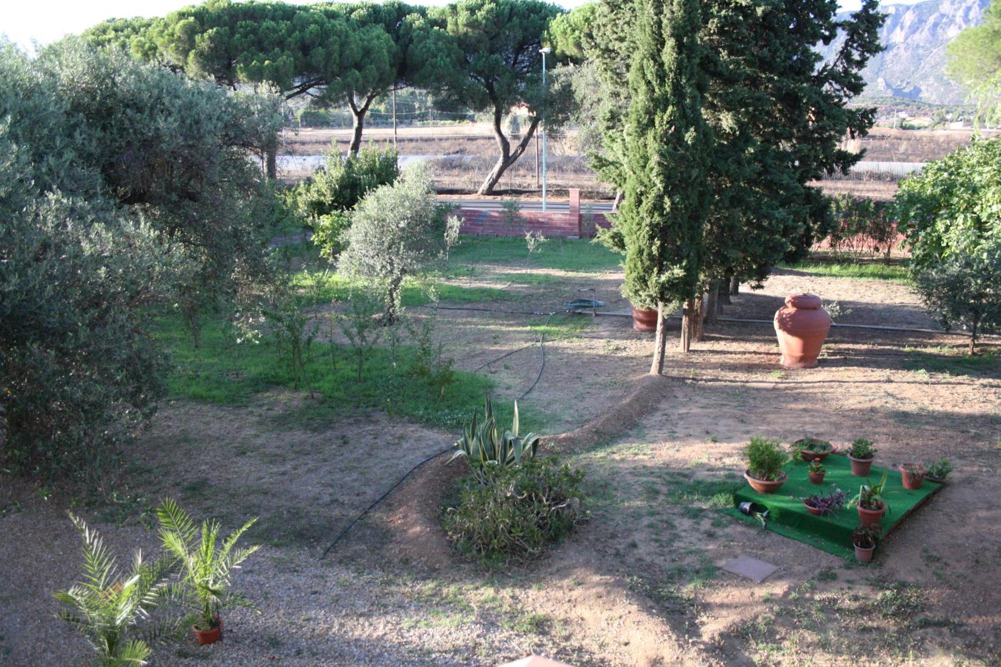 شقة Casa L' Antico Ulivo إيغليزياس المظهر الخارجي الصورة