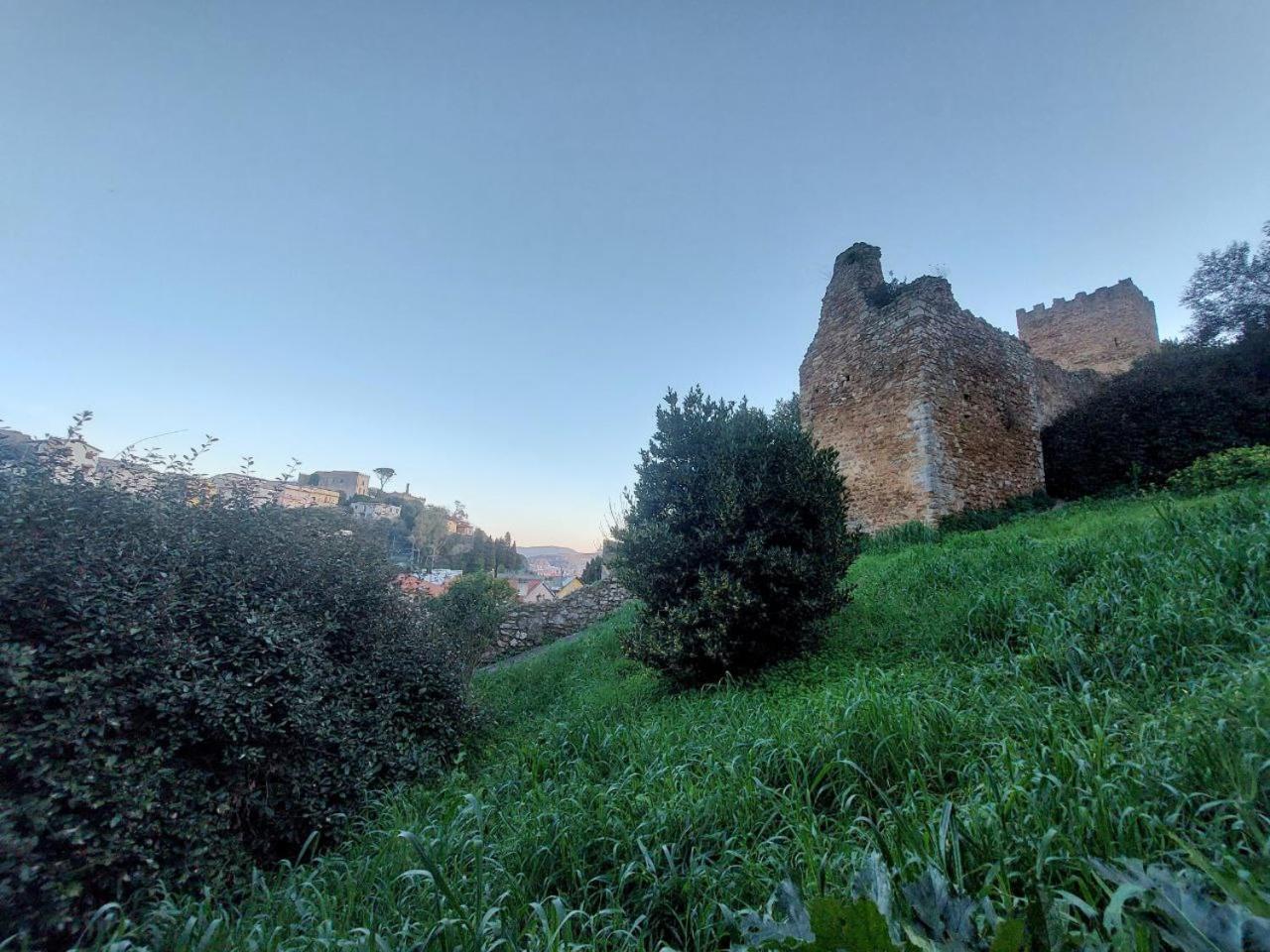 شقة Casa L' Antico Ulivo إيغليزياس المظهر الخارجي الصورة