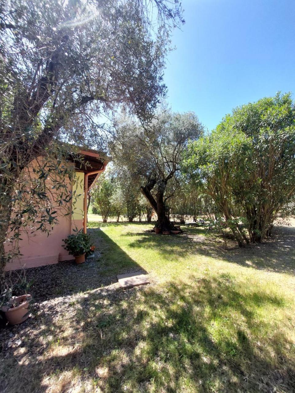 شقة Casa L' Antico Ulivo إيغليزياس المظهر الخارجي الصورة