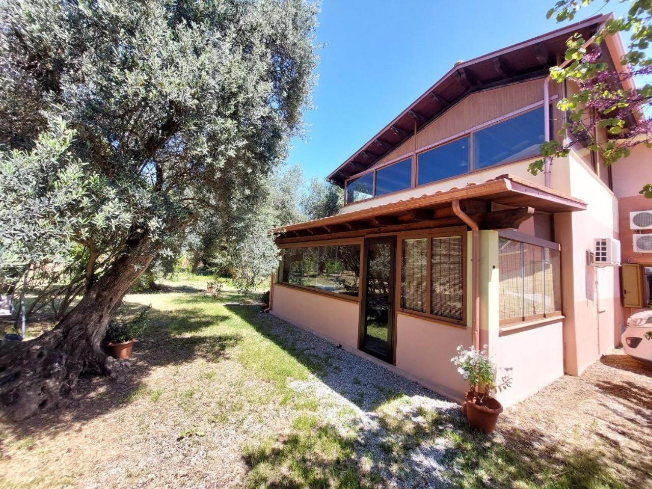 شقة Casa L' Antico Ulivo إيغليزياس المظهر الخارجي الصورة