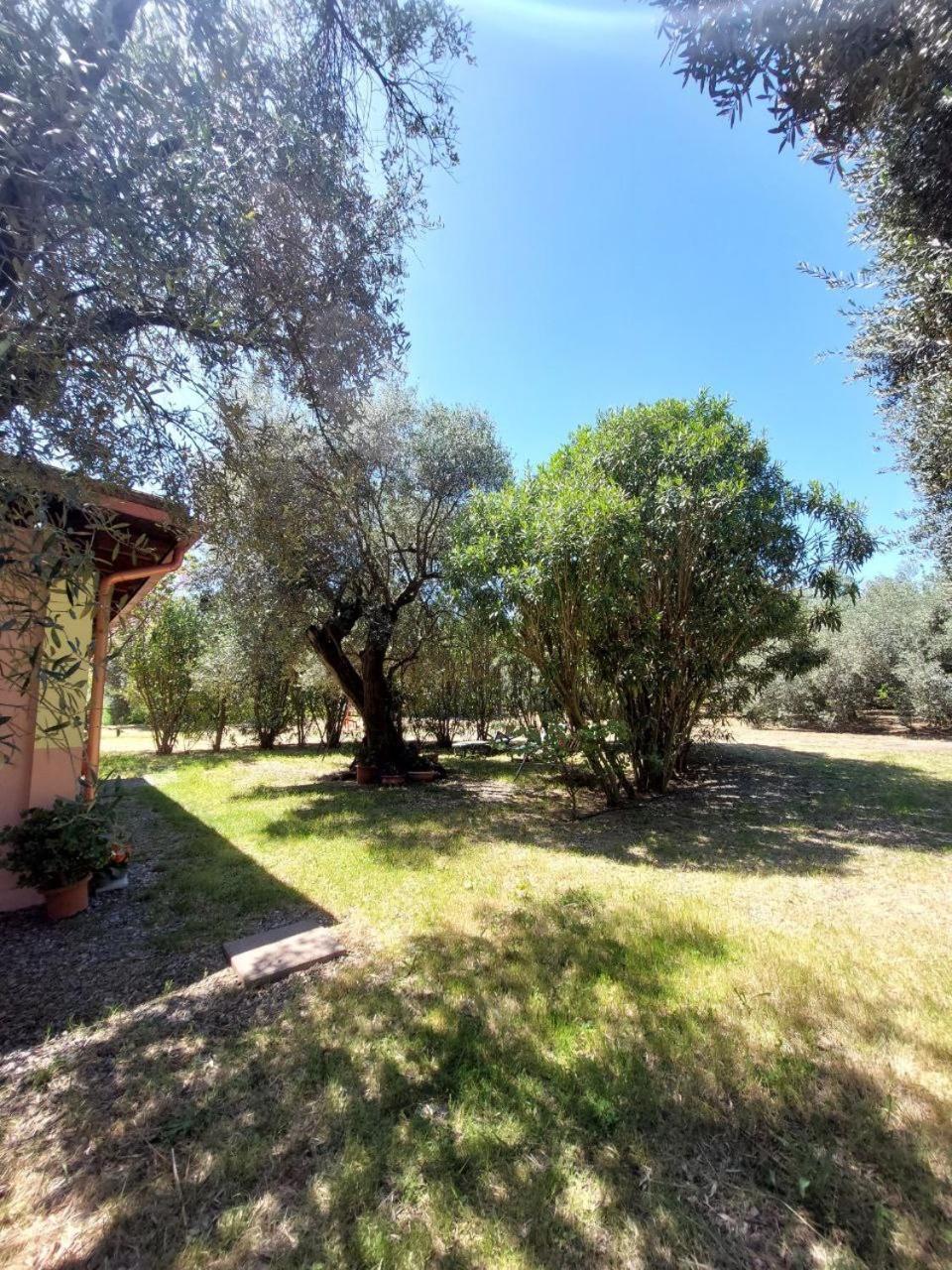 شقة Casa L' Antico Ulivo إيغليزياس المظهر الخارجي الصورة