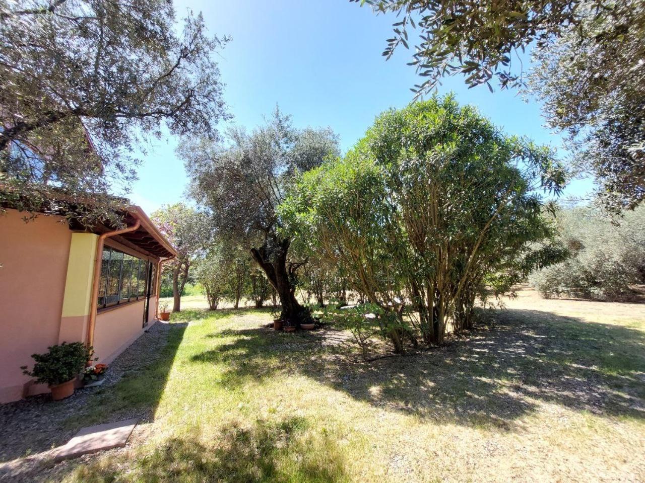 شقة Casa L' Antico Ulivo إيغليزياس المظهر الخارجي الصورة
