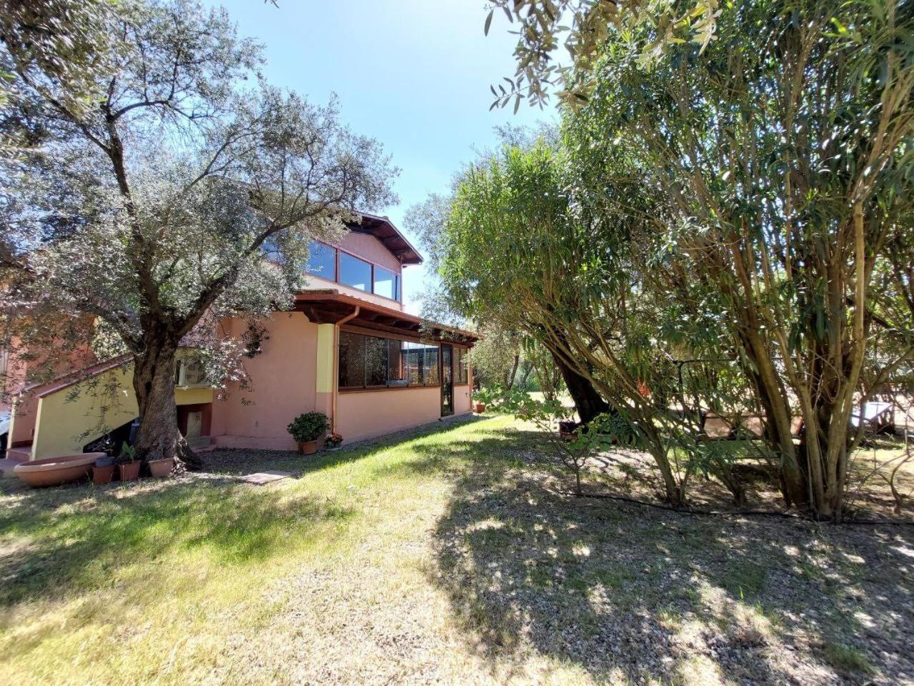 شقة Casa L' Antico Ulivo إيغليزياس المظهر الخارجي الصورة
