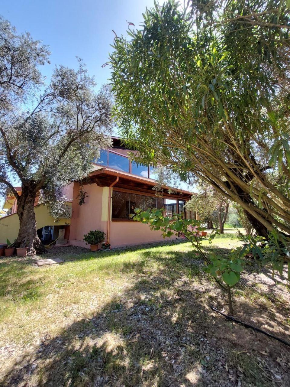 شقة Casa L' Antico Ulivo إيغليزياس المظهر الخارجي الصورة